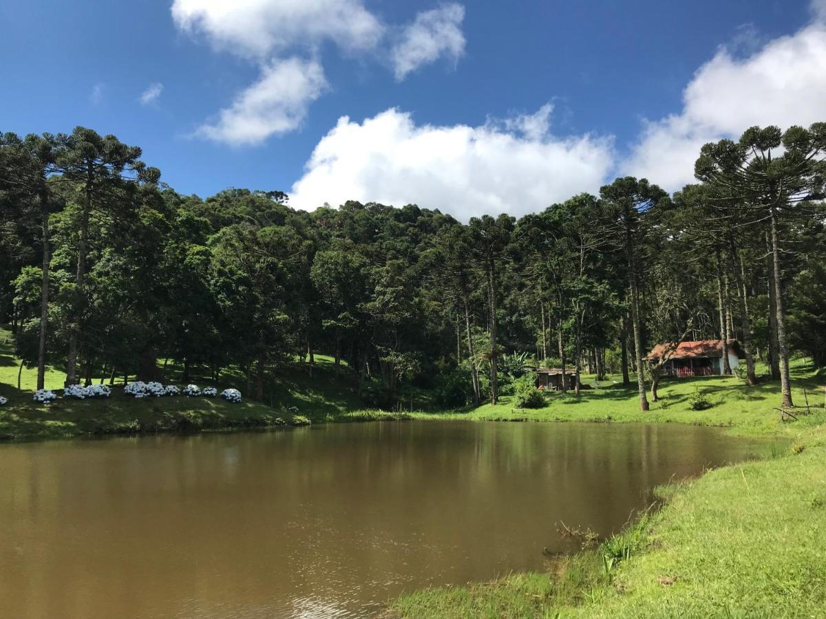 Green Mountains Hotel モンテ・ヴェルデ エクステリア 写真